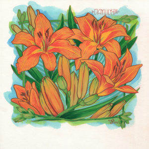 Daylilies