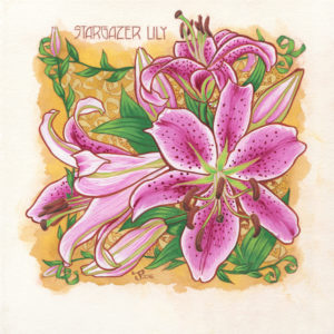 Stargazer Lily