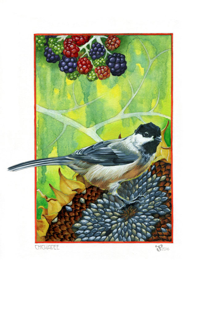 Gouache Painting - Chickadee